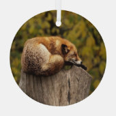 眠っているキツネの写真 ガラスオーナメント (裏面)
