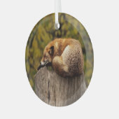 眠っているキツネの写真 ガラスオーナメント (正面左)