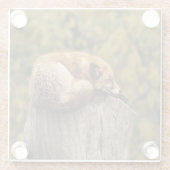 眠っているキツネの写真 ガラスコースター (裏面)