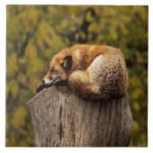 眠っているキツネの写真 タイル (正面)