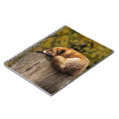 眠っているキツネの写真 ノートブック (左側)