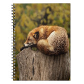 眠っているキツネの写真 ノートブック (正面)