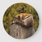 眠っているキツネの写真 ラージ壁時計 (正面)