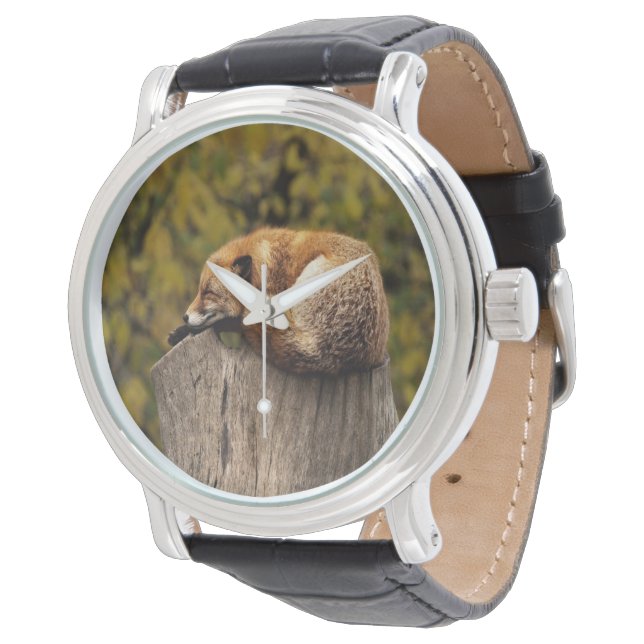 眠っているキツネの写真 腕時計 (アングル)