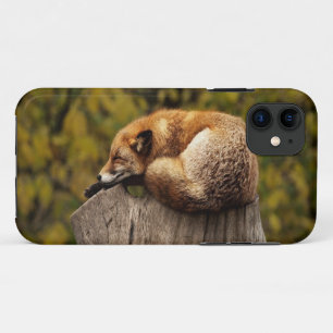 眠っているキツネの写真 iPhone 11 ケース