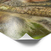 眠っているコアラの写真の拡大 フォトプリント            (角)