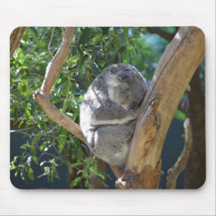 眠っているコアラの写真 マウスパッド