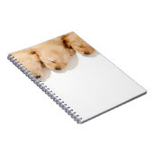 眠っているゴールデンレトリエバーパピーズの行 ノートブック (右側)