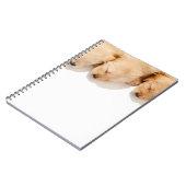 眠っているゴールデンレトリエバーパピーズの行 ノートブック (左側)