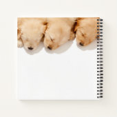 眠っているゴールデンレトリエバーパピーズの行 ノートブック (裏面)
