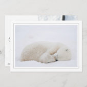 眠っているシロクマ シーズンカード (正面/裏面)