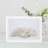 眠っているシロクマ シーズンカード (スタンド正面)