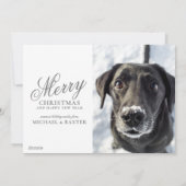 眠っているシロクマ シーズンカード (裏面)