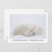 眠っているシロクマ シーズンポストカード (正面/裏面)