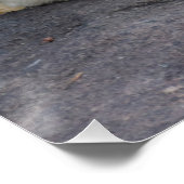 眠っているシロクマ ポスター (コーナー)