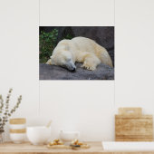 眠っているシロクマ ポスター (キッチン)