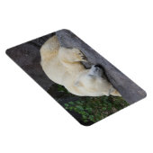 眠っているシロクマ マグネット (右側)