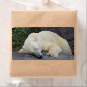 眠っているシロクマ ラベル (インサイチュ)
