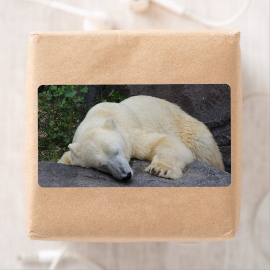 眠っているシロクマ ラベル (インサイチュ)