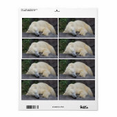 眠っているシロクマ ラベル (フルシート)