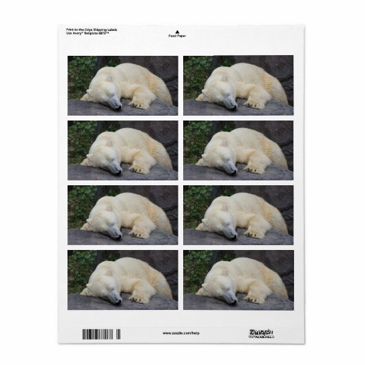 眠っているシロクマ ラベル (フルシート)