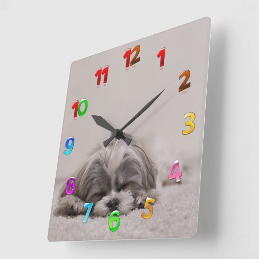 眠っているシーズー(犬)の子時計、眠っている犬 スクエア壁時計 (傾斜)