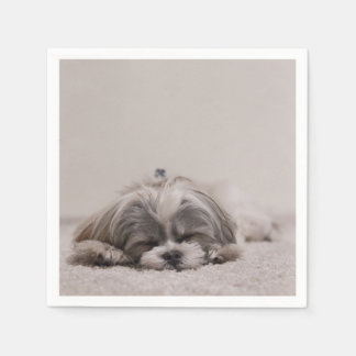 眠っているシーズー(犬)のTzuカクテルナプキンス、眠っている犬 スタンダードカクテルナプキン