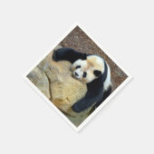 眠っているジャイアントパンダが岩の上で眠った スタンダードカクテルナプキン (角)