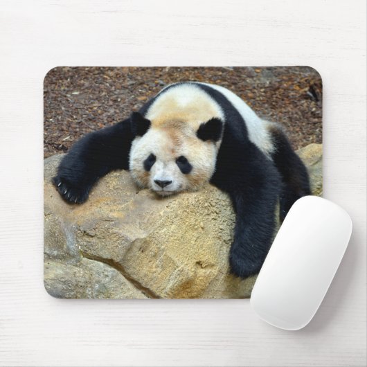 眠っているジャイアントパンダが岩の上で眠った マウスパッド (マウス)