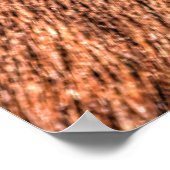 眠っているソレルホースアイアンドラッシュフォト勉強 ポスター (角)