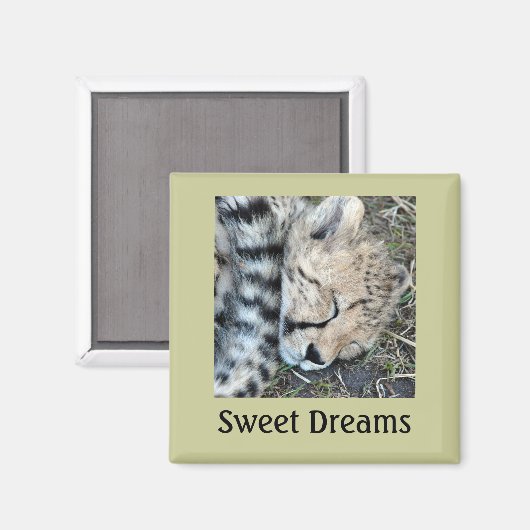 眠っているチーターの可愛い写真 マグネット (正面/裏面)