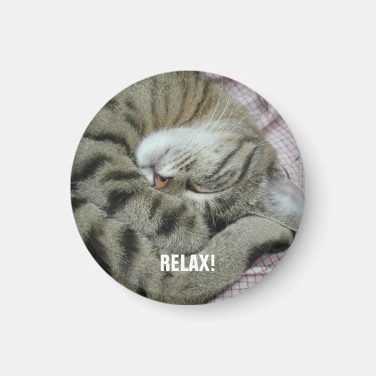 眠っているトラ猫 マグネット (正面)