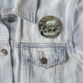 眠っているトラ猫 缶バッジ (インサイチュ)