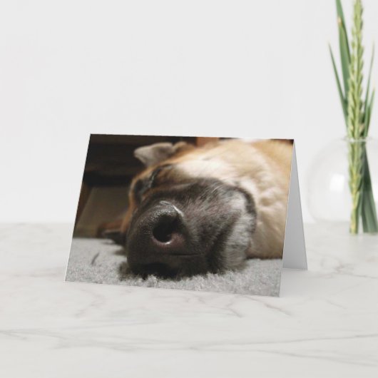 眠っているドイツの羊飼いサンキューカード サンキューカード (正面)