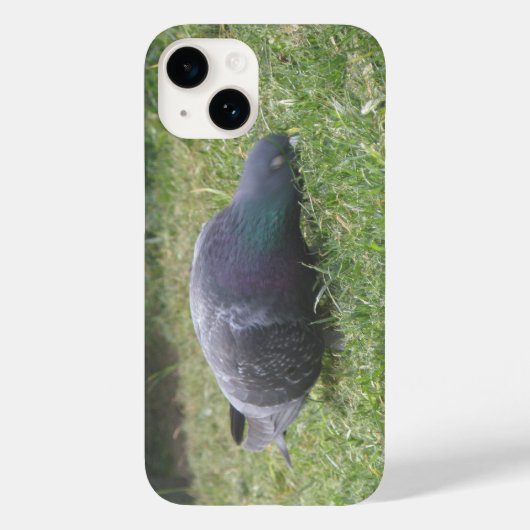 眠っているハト Case-Mate iPhoneケース (裏面)