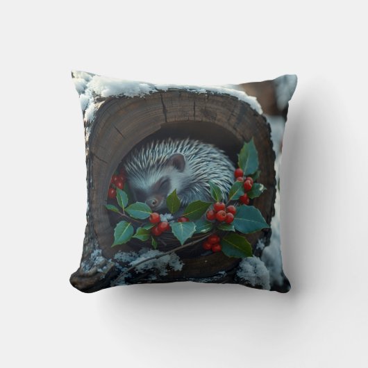 眠っているハリネズミもクリスマスが大好き クッション (正面)