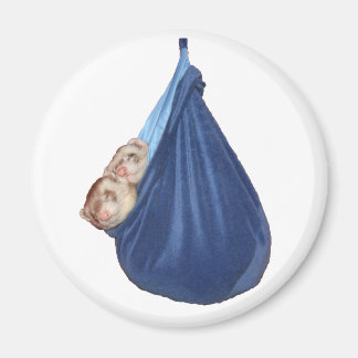 眠っているバッグ磁石のフェレット マグネット