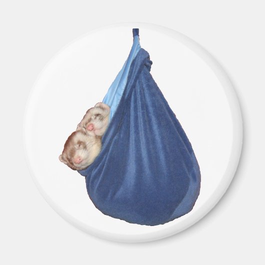 眠っているバッグ磁石のフェレット マグネット (正面)