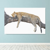 眠っているヒョウ キャンバスプリント (インサイチュ (ウッドフロア))