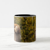 眠っているフォックスフォト ツートーンマグカップ (中央)