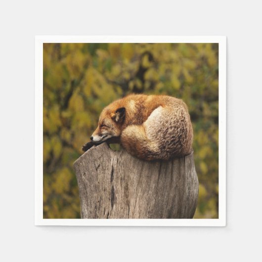 眠っているフォックス写真  スタンダードカクテルナプキン (正面)