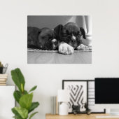 眠っているボクサーの子犬のキャンバスの印刷 ポスター (ホームオフィス)