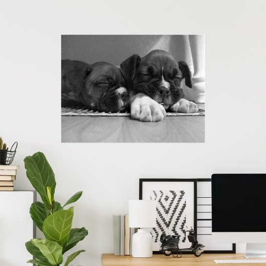 眠っているボクサーの子犬のキャンバスの印刷 ポスター (ホームオフィス)