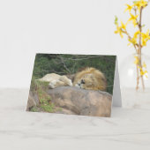 眠っているライオンのグリーティングカード カード (黄色い花)