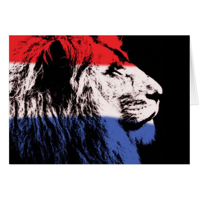 眠っているライオンのプロフィール (正面横)