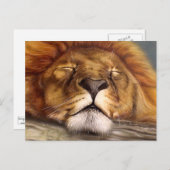 眠っているライオン ポストカード (正面/裏面)