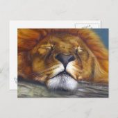 眠っているライオン ポストカード (正面/裏面)