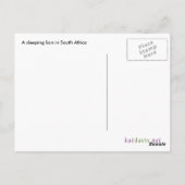 眠っているライオン ポストカード (裏面)