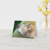 眠っているラグドールキティの回復おめでとうカード カード (黄色い花)