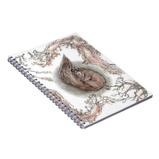 眠っているリス ノートブック (右側)